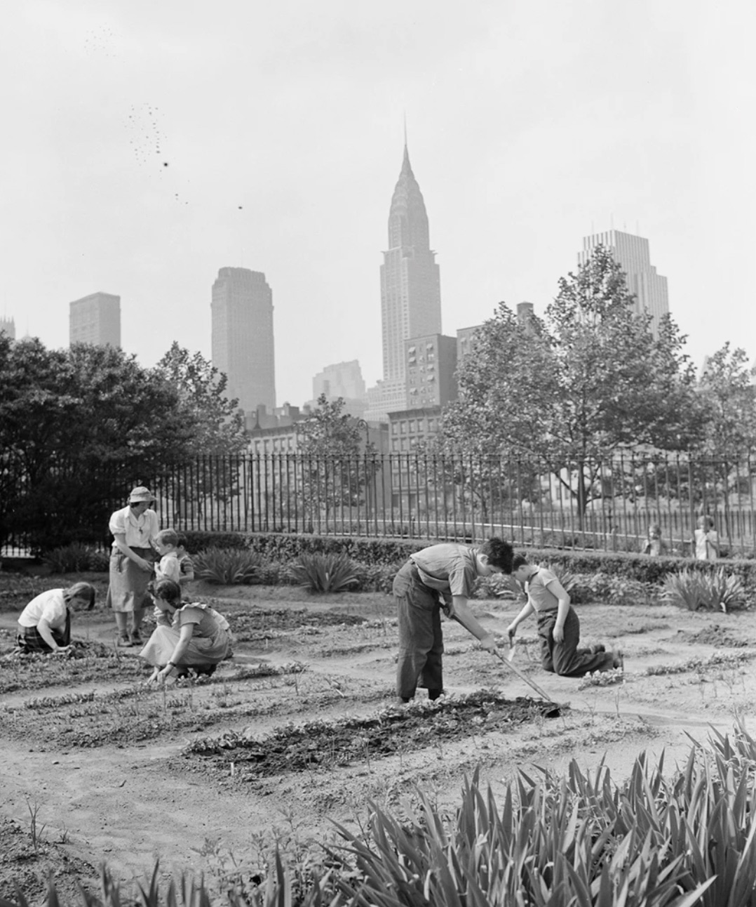 Children’s school Victory Gardens on First Avenue between Thirty-fifth and Thirty-sixth Streets